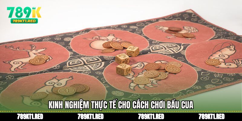 Kinh nghiệm thực tế cho Cách chơi bầu cua